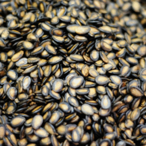 Watermelon Seeds – Protein Snack
